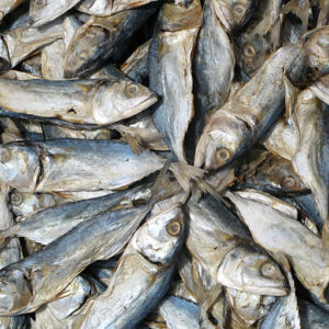 Dried fish